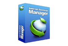 Internet Download Manager IDM v6.36.3 绿色破解版-电脑系统吧