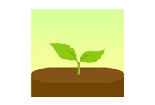 Forest专注森林 v4.67.0-电脑系统吧